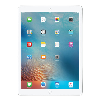 iPad Pro 12.9" 2nd Gen 512GB Argento Molto Buono WiFi